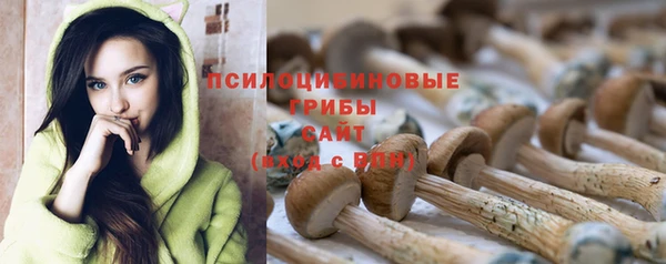 шишки Белоозёрский