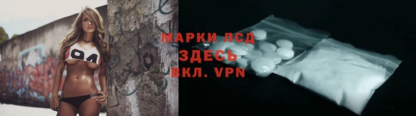 шишки Белоозёрский