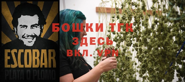 молекула духа Белокуриха