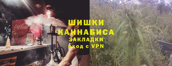 молекула духа Белокуриха