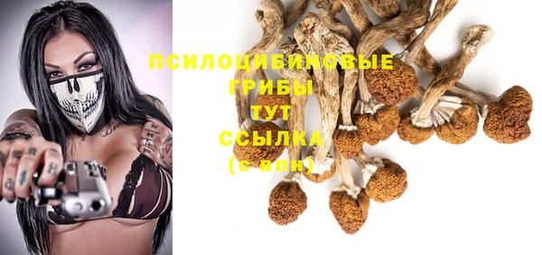 тгк Беломорск
