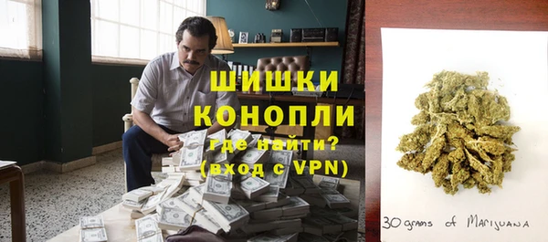 шишки Белоозёрский