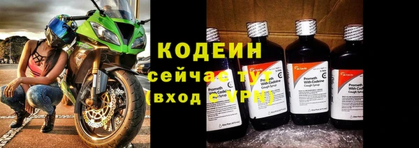 молекула духа Белокуриха