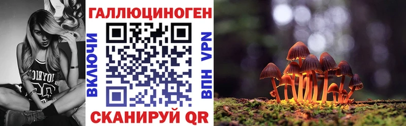 Галлюциногенные грибы GOLDEN TEACHER  где купить   Михайловск 